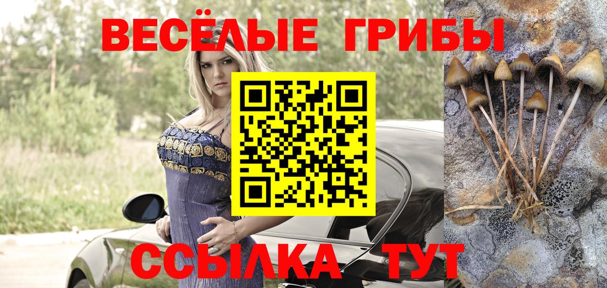 Донской  Псилоцибиновые грибы ЛСД  Галлюциногенные грибы Magic Shrooms  где найти наркотики  Вход с VPN 